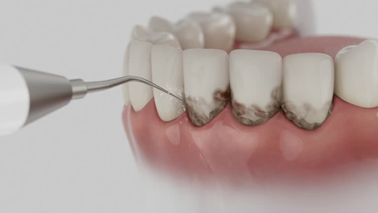 Reliable Dental contractor in Chocowinity, NC by Dentist Open Now
